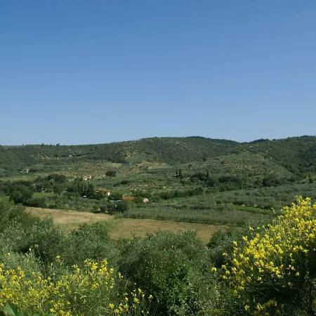 Holiday home Holiday La Tabaccaia Lucignano